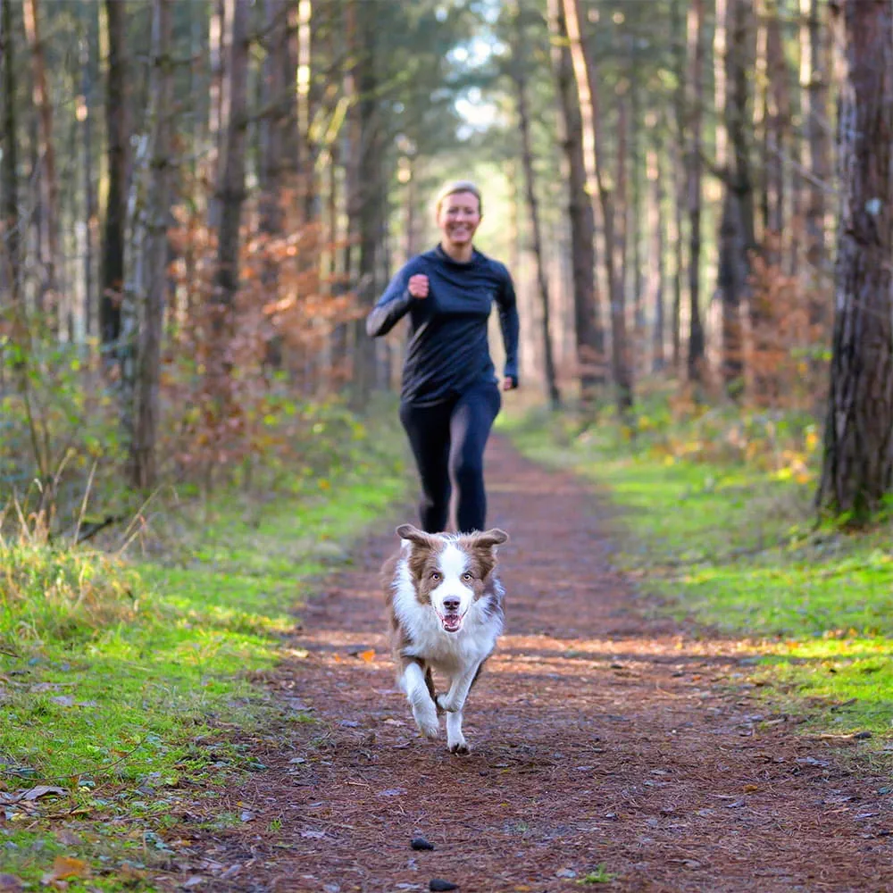 Exercising your dog helps to keep you active