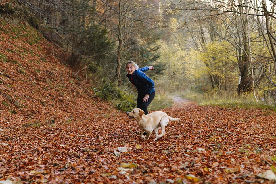 Dog training with a ball