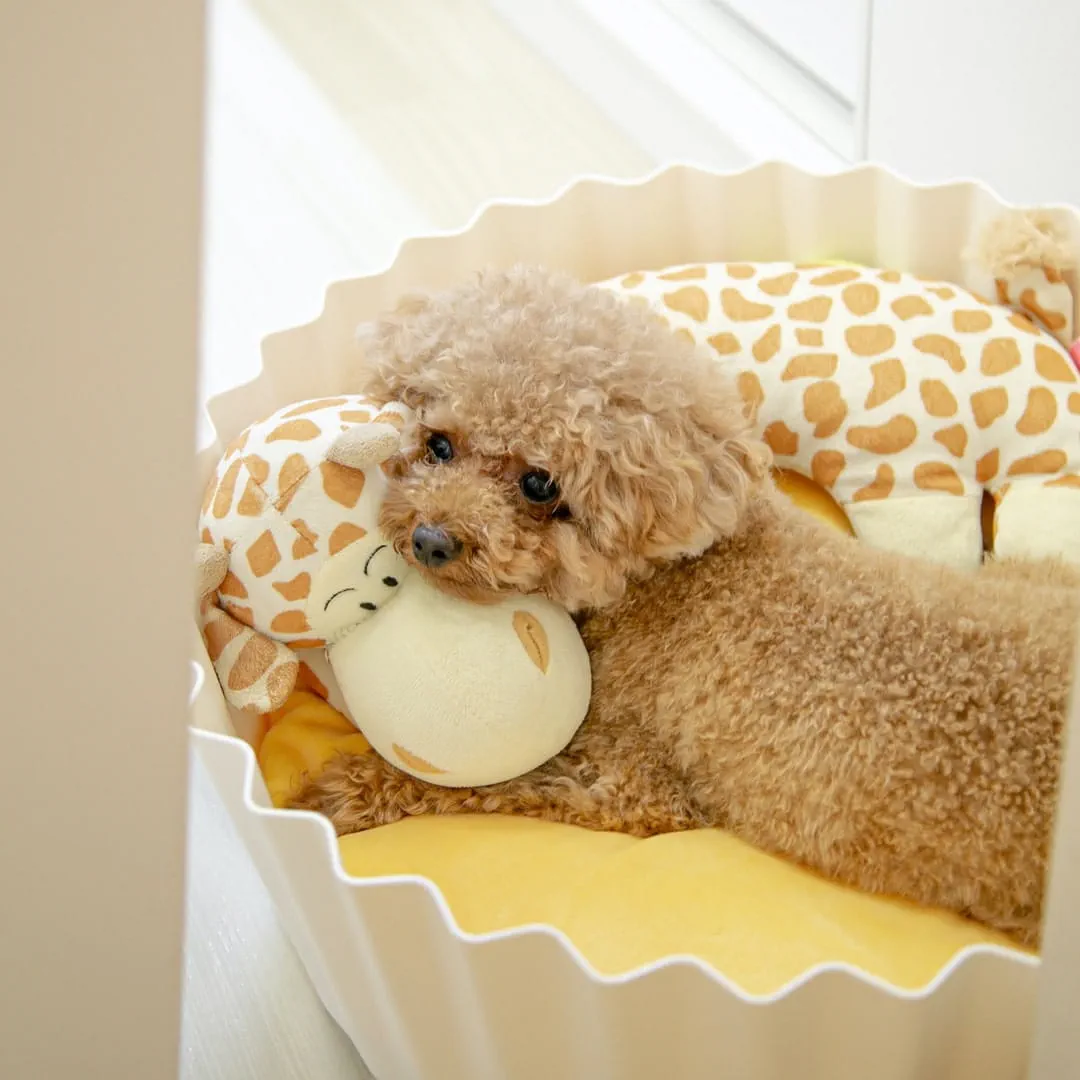 Best toys and bed for puppies