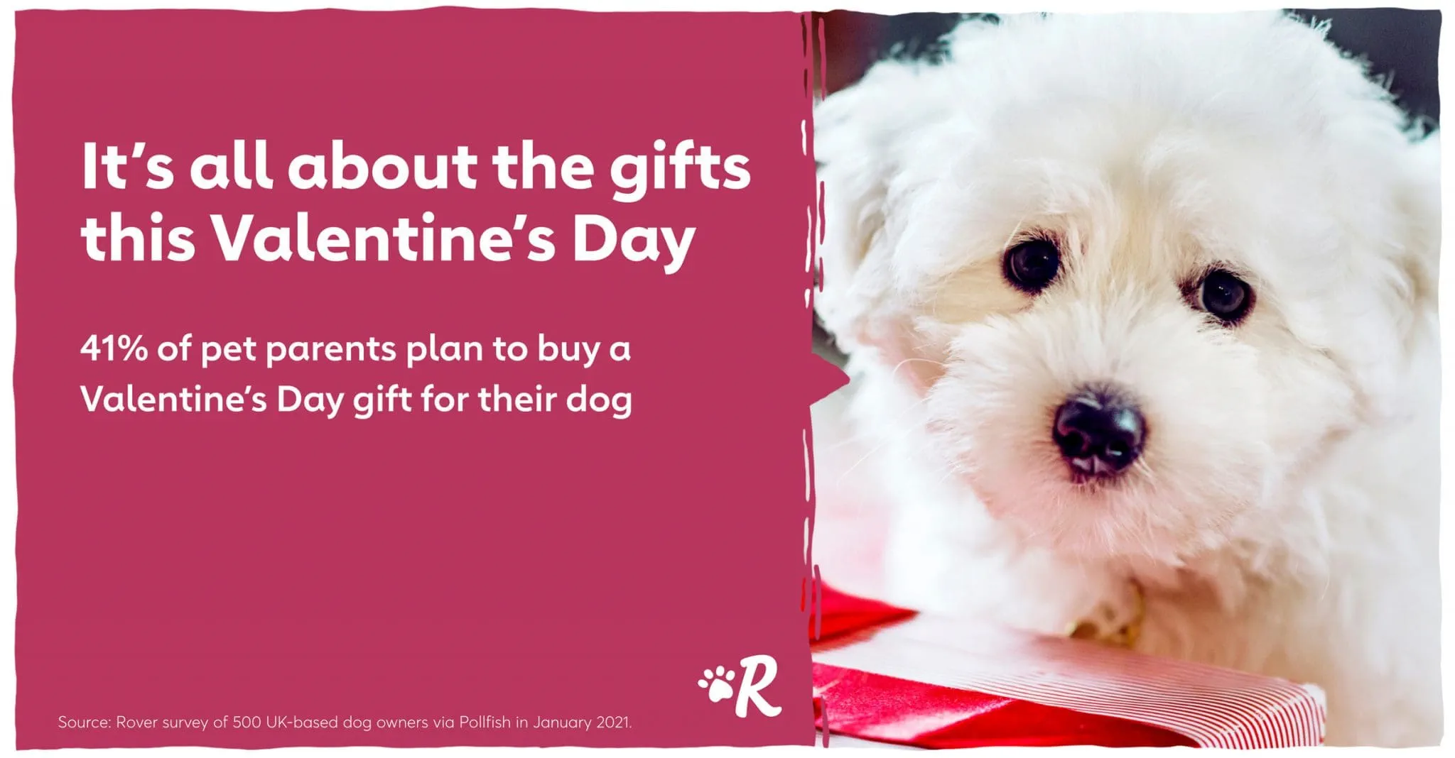 Dogs Valentines Day