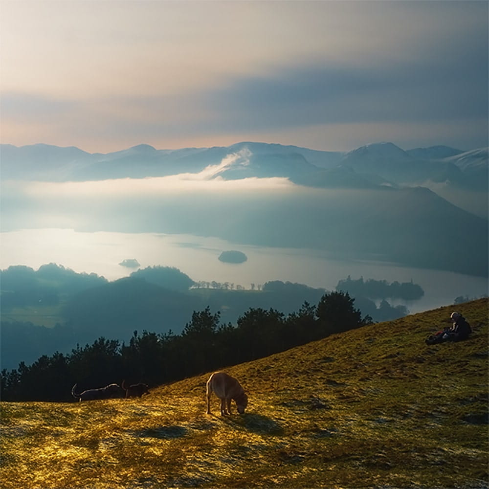 Dog exploring in Keswick, Lake District