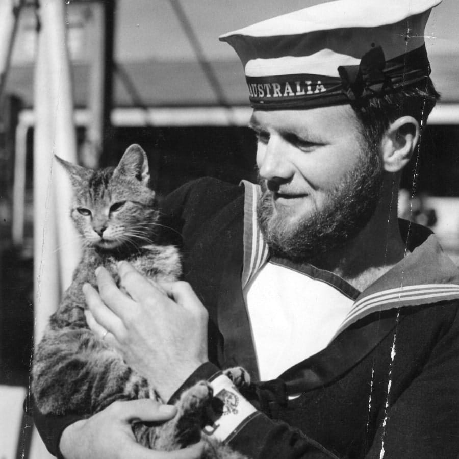 Able Seacat Simon
