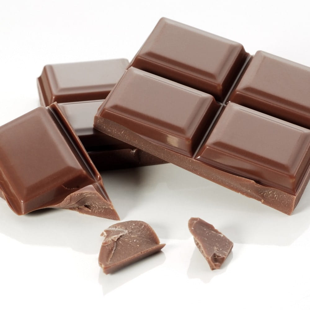 Why is chocolate bad for dogs?