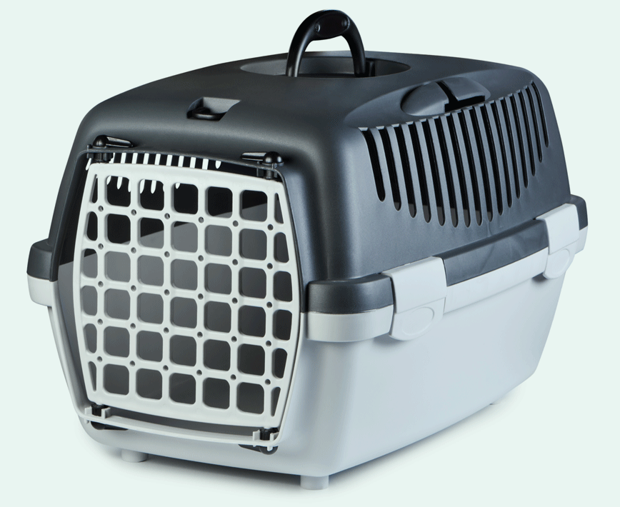 Optional benefits - Cat breeds