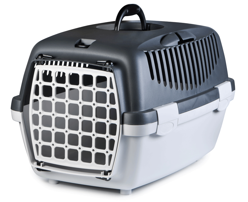 Best pet insurance optional extras for cats
