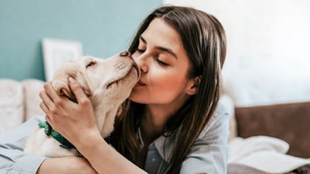 The benefits of owning a dog