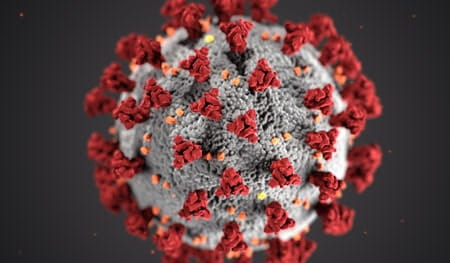 Coronavirus and cats & dogs