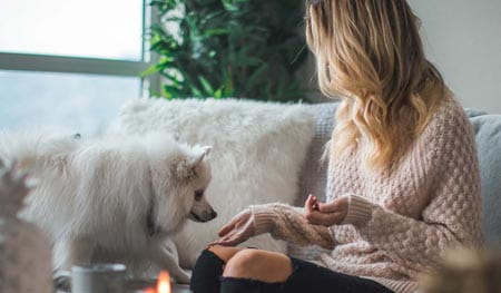 How to Dog Proof your Home