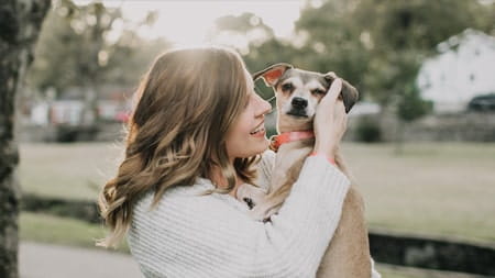 How do dogs show their owners love