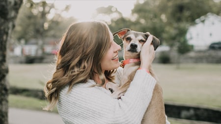 How do dogs show their owners love