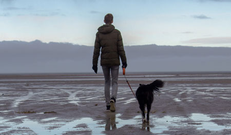 Walking dogs in lockdown