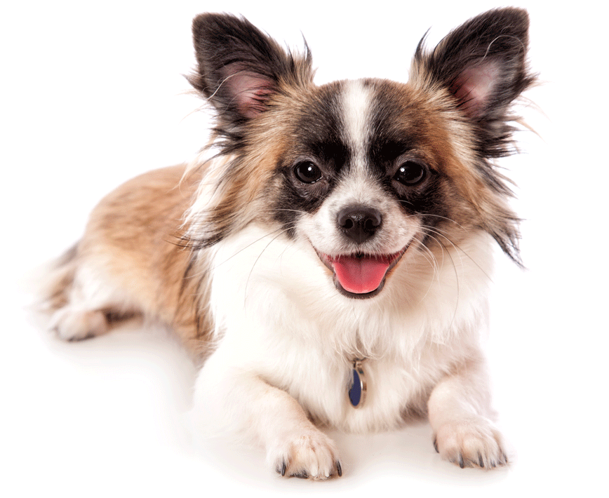 Accessing your policy documents